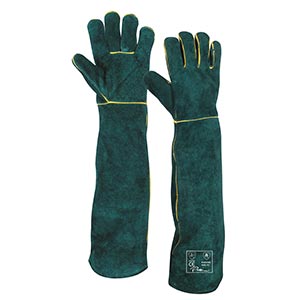Green and Blue Leather Gloves